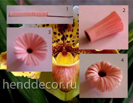 Orchidea virág Quilling technika - Kaleidoszkóp dekoráció