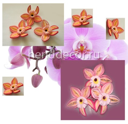 Flori de orhidee în tehnica de quilling - decorare de kaleidoscop