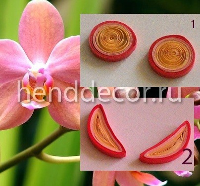 Orchidea virág Quilling technika - Kaleidoszkóp dekoráció