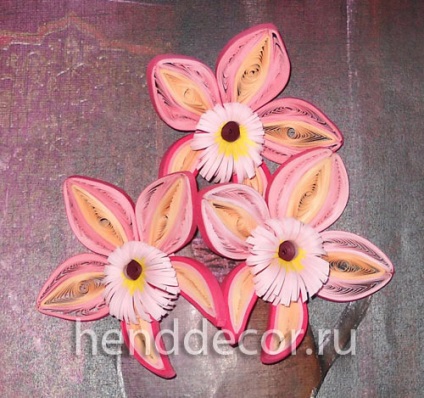 Orchidea virág Quilling technika - Kaleidoszkóp dekoráció