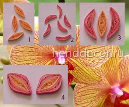 Orchidea virág Quilling technika - Kaleidoszkóp dekoráció