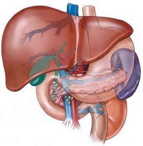 Dieta în regulile bolii hepatice și caracteristicile nutriției, limitărilor, meniurilor