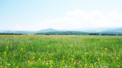 Sălbații de băut sălbatice, vizavi de perlele de la poalele hamarului daban! Prospect de dorințe