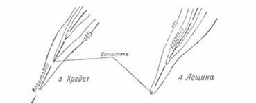 Elemente de topografie (literatură turistică)