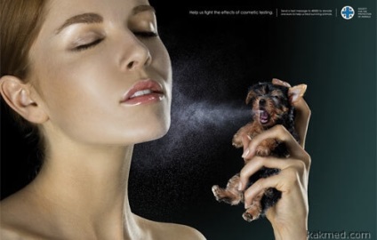Uniunea Europeană a interzis produsele cosmetice, care sunt testate pe animale