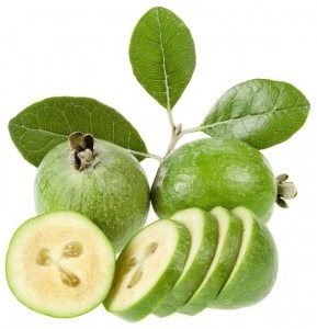 Feijoa termesztés otthon, példás kastély