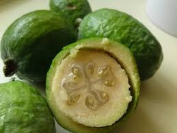 Feijoa, agricultura la domiciliu, gospodărie exemplară