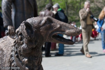 Photoreportul pe parcul Gomel se îndreaptă acum cu câinii