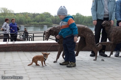 Photoreportul pe parcul Gomel se îndreaptă acum cu câinii
