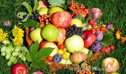 Dieta de fructe pentru pierderea in greutate