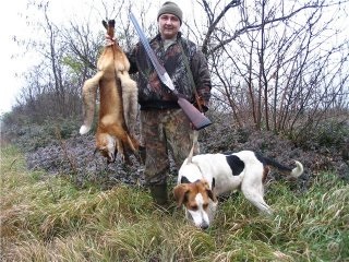 Beagle kutyák - egy kis történelem, különösen különbségek vadászat és képesítések, vadászat és halászat