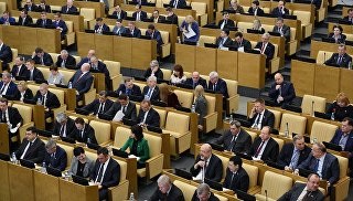 Duma de Stat a adoptat în lectura proiectului de lege privind amnistierea pădurilor