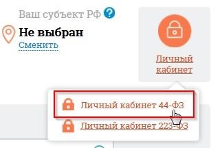 Portal de informare privind achizițiile (44-Fз, 223-фз) înregistrarea clientului pe 44-FZ într-un singur exemplar