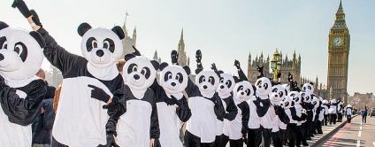 A történelem az óriás panda - WWF szimbólum