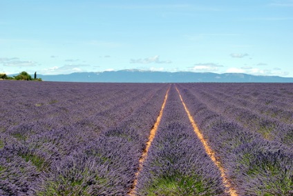 Istoria stilului Provence