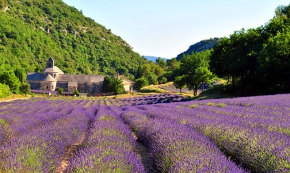 Istoria stilului Provence