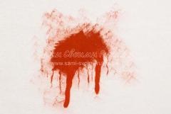 Cum să atragă sânge pe vopsele pe o țesătură (o pictură pe un tricou) - o clasă de master cu o fotografie, propria lor
