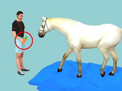 Cum să înveți un cal să traverseze un iaz