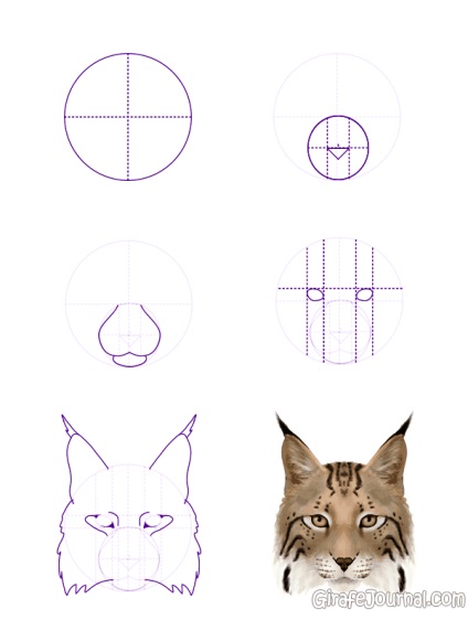 Cum să înveți să desenezi o pisică, instruire pas cu pas