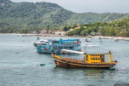 Cum să navigați între insulele Koh Samui, Tao, Pangan, barca Lombra