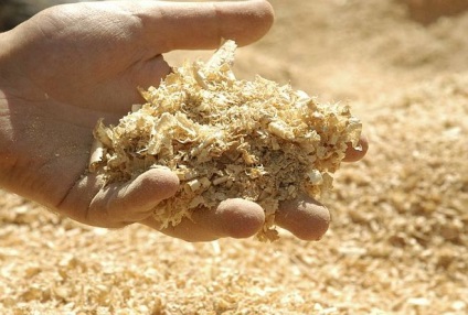 Cum se prepară rumegușul pentru mulcirea solului