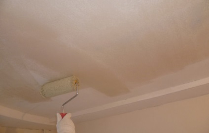 Cum să pictezi corect tavanul cu o rolă
