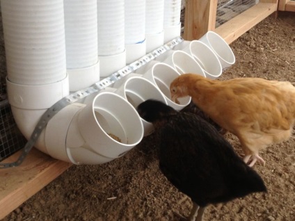 Cum să faci un alimentator de păsări pentru găinile tale - o revizuire a speciilor și a instrucțiunilor
