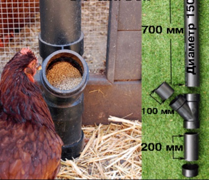 Cum să faci un alimentator de păsări pentru găinile tale - o revizuire a speciilor și a instrucțiunilor