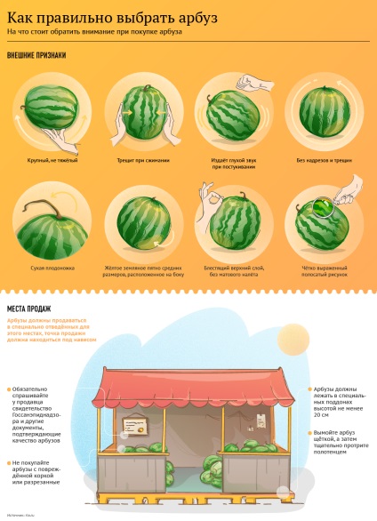 Hogyan válasszuk ki a megfelelő görögdinnye érett és édes