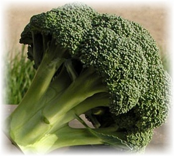 Broccoli tonus varza