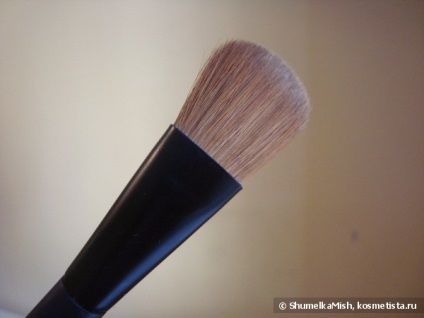 Brushări armani recenzii