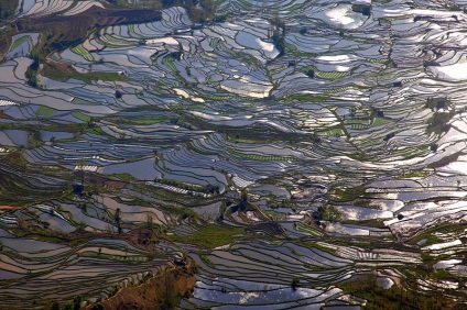China orez terase