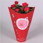 Flori de trandafiri și plante în ghivece cumpără e-commerce online