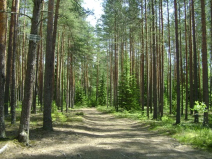 Cabane - ferma de vite - din borisovo (rusia) - recenzii, preturi pe excursii, adresa pe harta