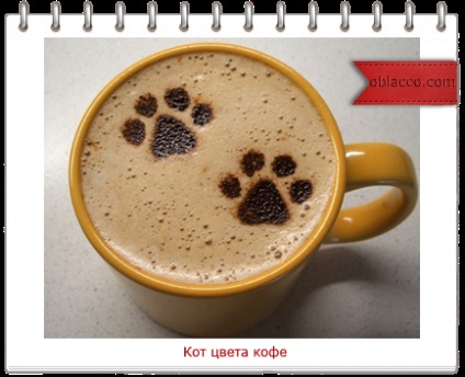 Cat de cafea color, oblacco