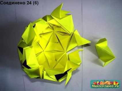 Starul lui Kusudama