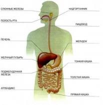 Tratamentul sistemului digestiv