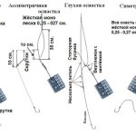 Prindeți elementele de bază ale alimentatorului pentru începători