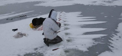 Capturarea bibanului pe iarna pe Ladoga - vânătoare și pescuit în Rusia și în străinătate