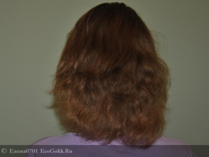 Ulei de păr amy baraka - recenzie de ecolaberger elena0701
