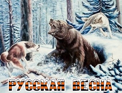Bear și Shavki (Alexandre Eskov)