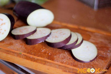 Mexican aperitiv toastados - rețetă pentru tortilla cu pui și legume