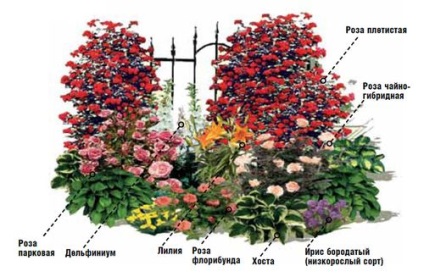 Mixborders évelők kezét fotó kerttervezés rendszer kiválasztására és növények