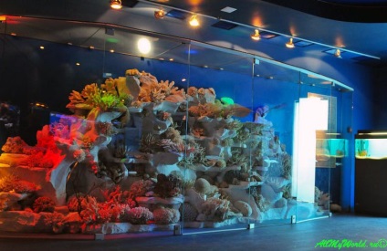 Muzeul Oceanului Mondial din Kaliningrad