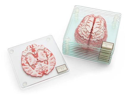 Un set de bonetă cu o imagine a unui creier uman pentru a cumpăra și un preț