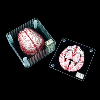 Un set de bonetă cu o imagine a unui creier uman pentru a cumpăra și un preț