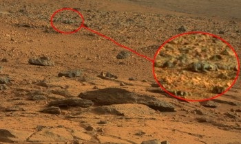 Pe Marte există viață și este confirmată în nasa