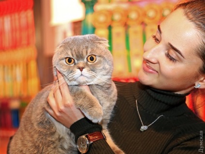 Az odesszai kikötő, egy kiállítás a macskák (fotó), Odessa News