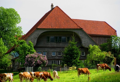 Smart Alpine Cottages