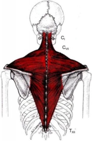 O mișcare care vă va ajuta să eliberați tensiunea de pe gât, sănătatea coloanei vertebrale